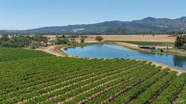 a view of a lake with a mountain