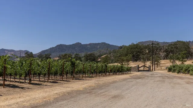a view of a road with a building in the background
