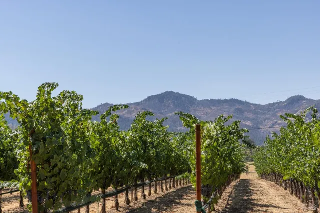 a view of a city with a mountain in the background
