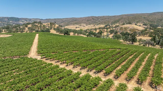 a view of a lush green field with mountains in the background