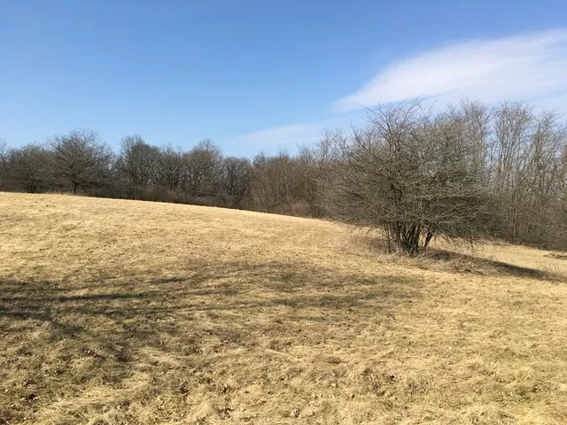 a view of ocean view