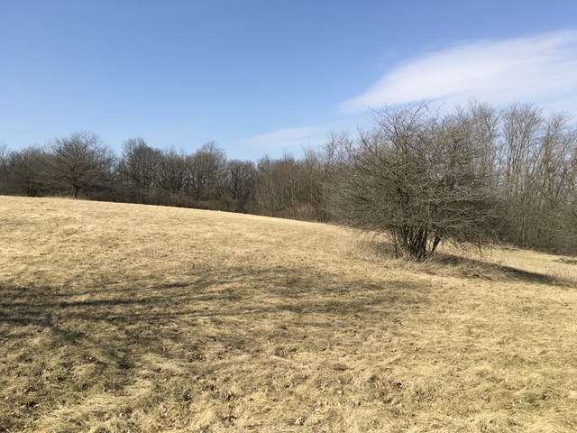 7369 English Oak Lane Spring Grove, IL 60081 - Photo 2 of 5 a view of ocean view