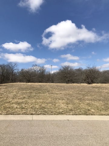 7369 English Oak Lane Spring Grove, IL 60081 - Photo 3 of 5 a view of an ocean