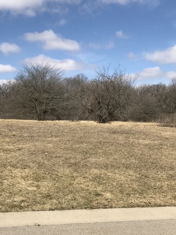 7369 English Oak Lane Spring Grove, IL 60081 - Photo 4 of 5 a view of lake view
