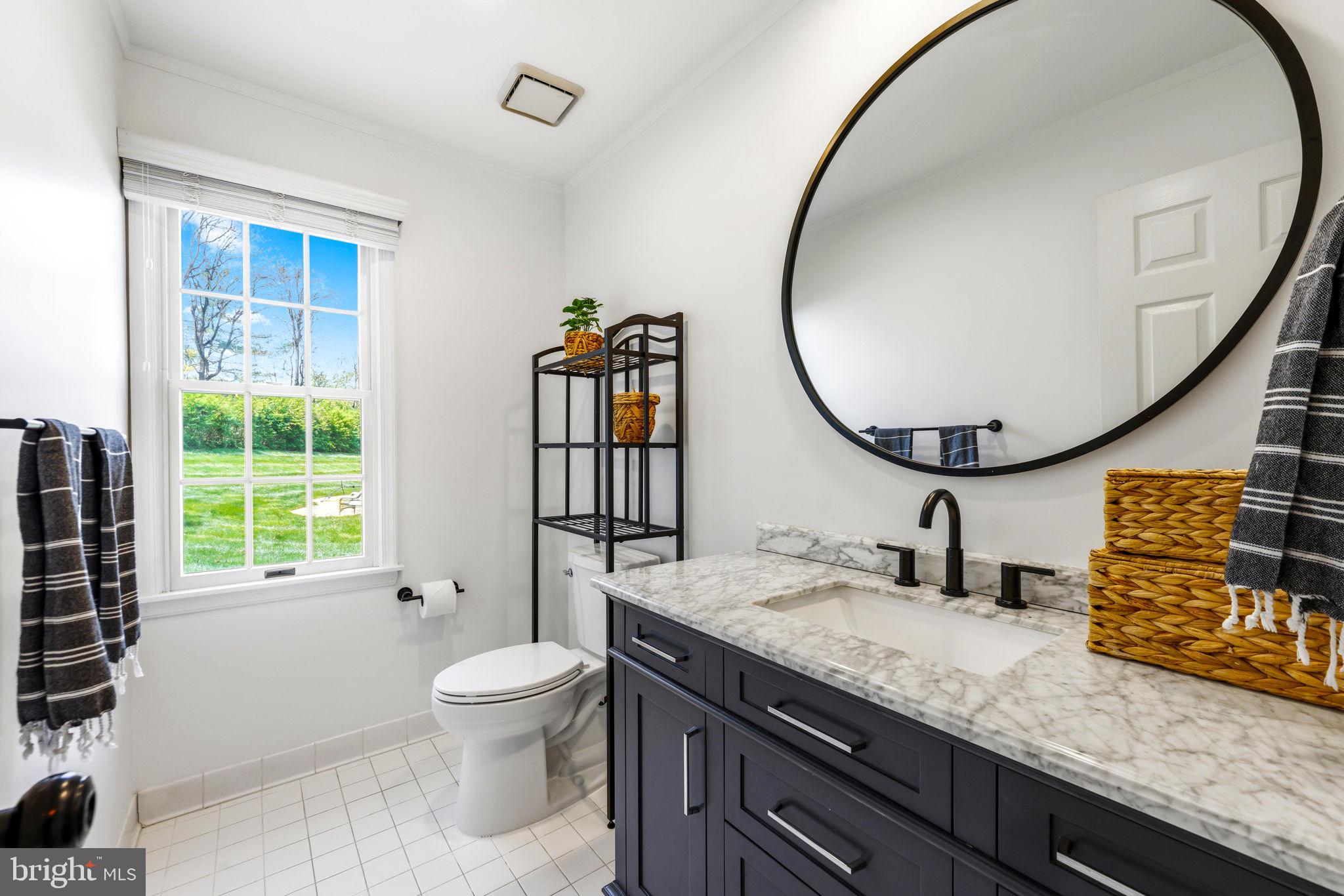 6513 Apple Blossom Ride Columbia, MD 21044 - Photo 36 of 115 a bathroom with a granite countertop toilet a sink and a mirror