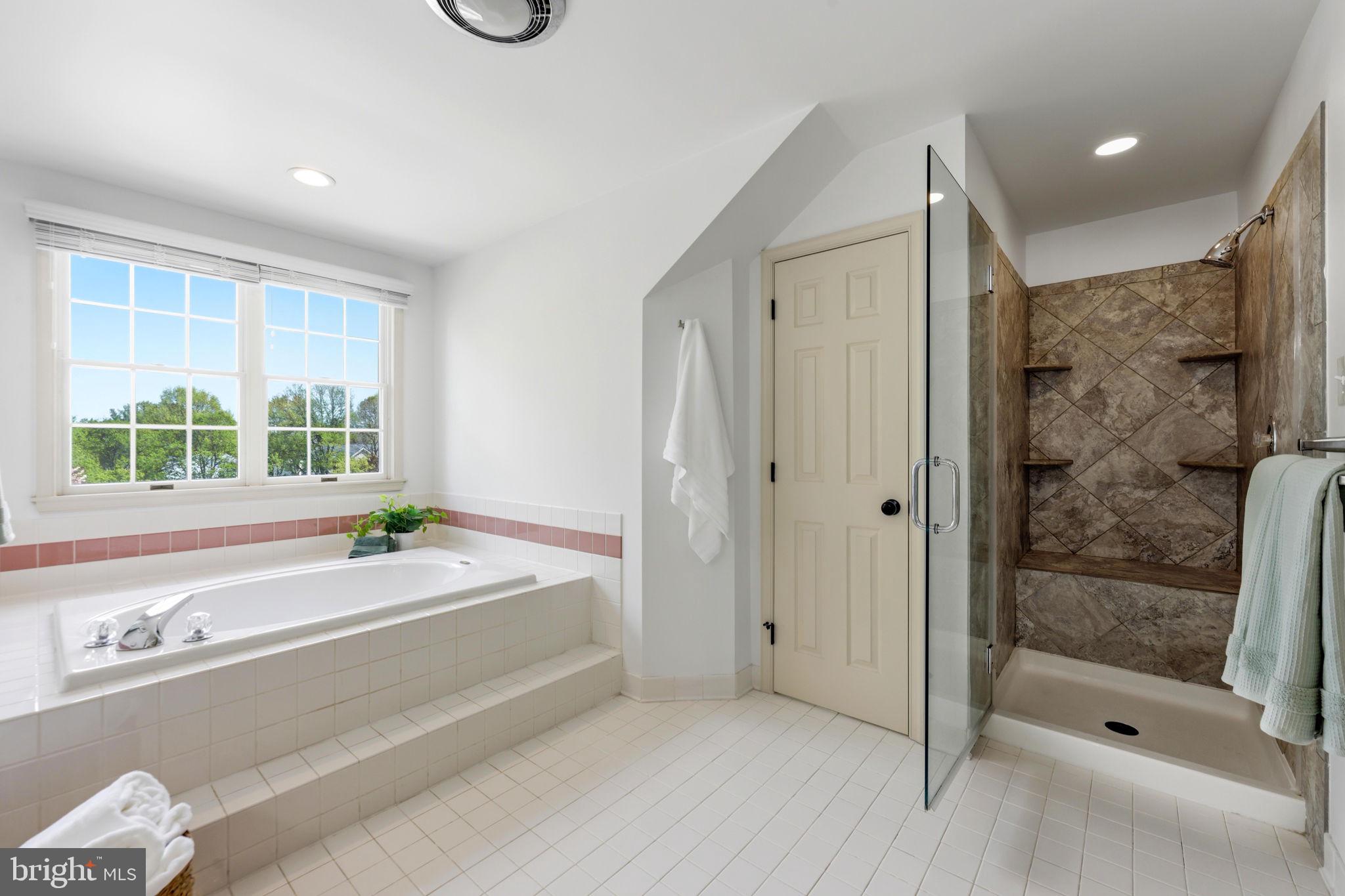 6513 Apple Blossom Ride Columbia, MD 21044 - Photo 49 of 115 a en suite bathroom with a granite countertop tub and a window