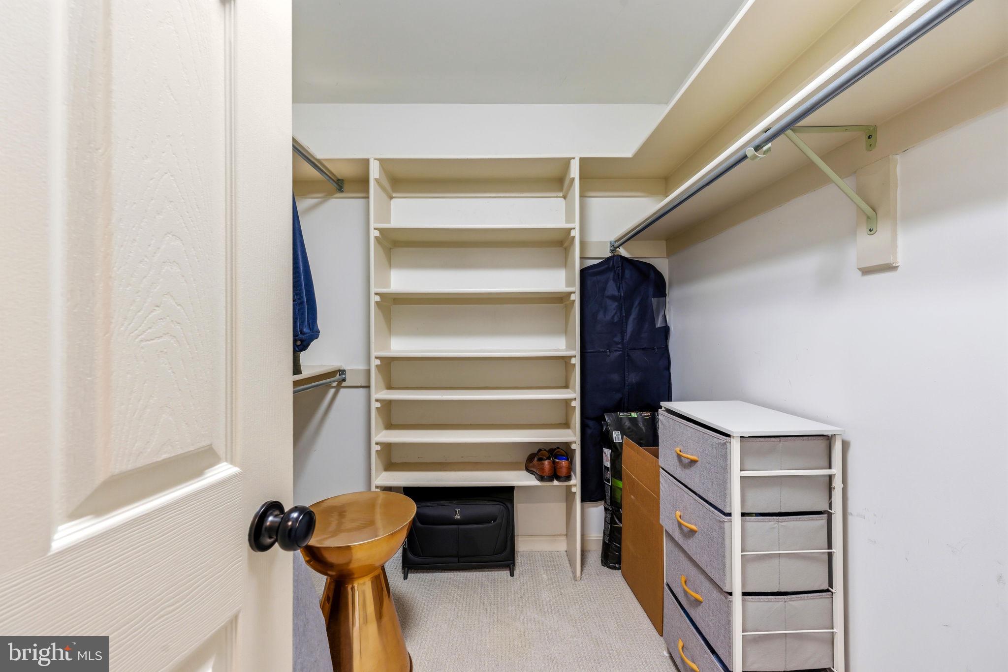 6513 Apple Blossom Ride Columbia, MD 21044 - Photo 51 of 115 a view of walk in closet with empty racks