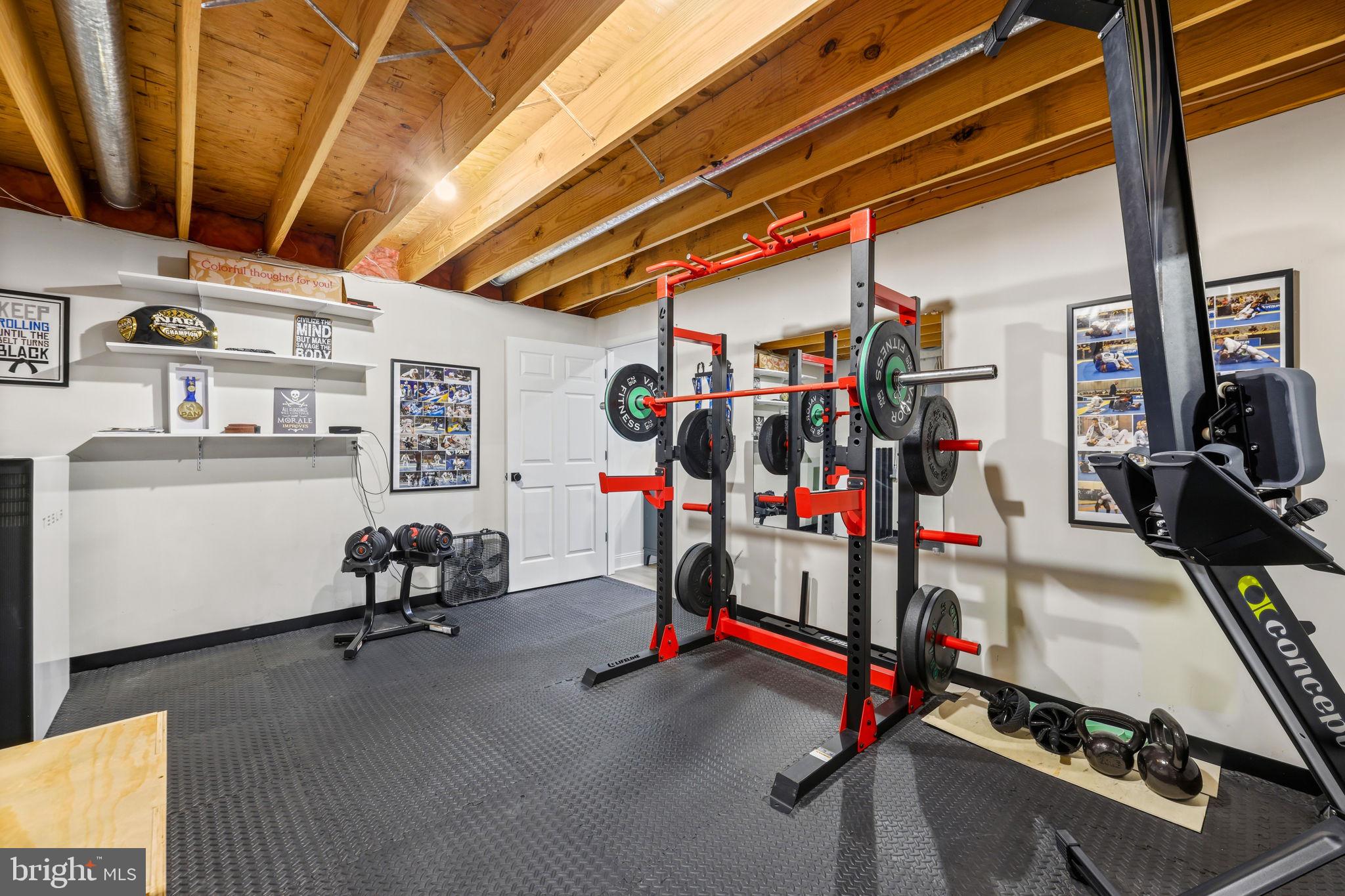 6513 Apple Blossom Ride Columbia, MD 21044 - Photo 83 of 115 a view of a room with gym equipment