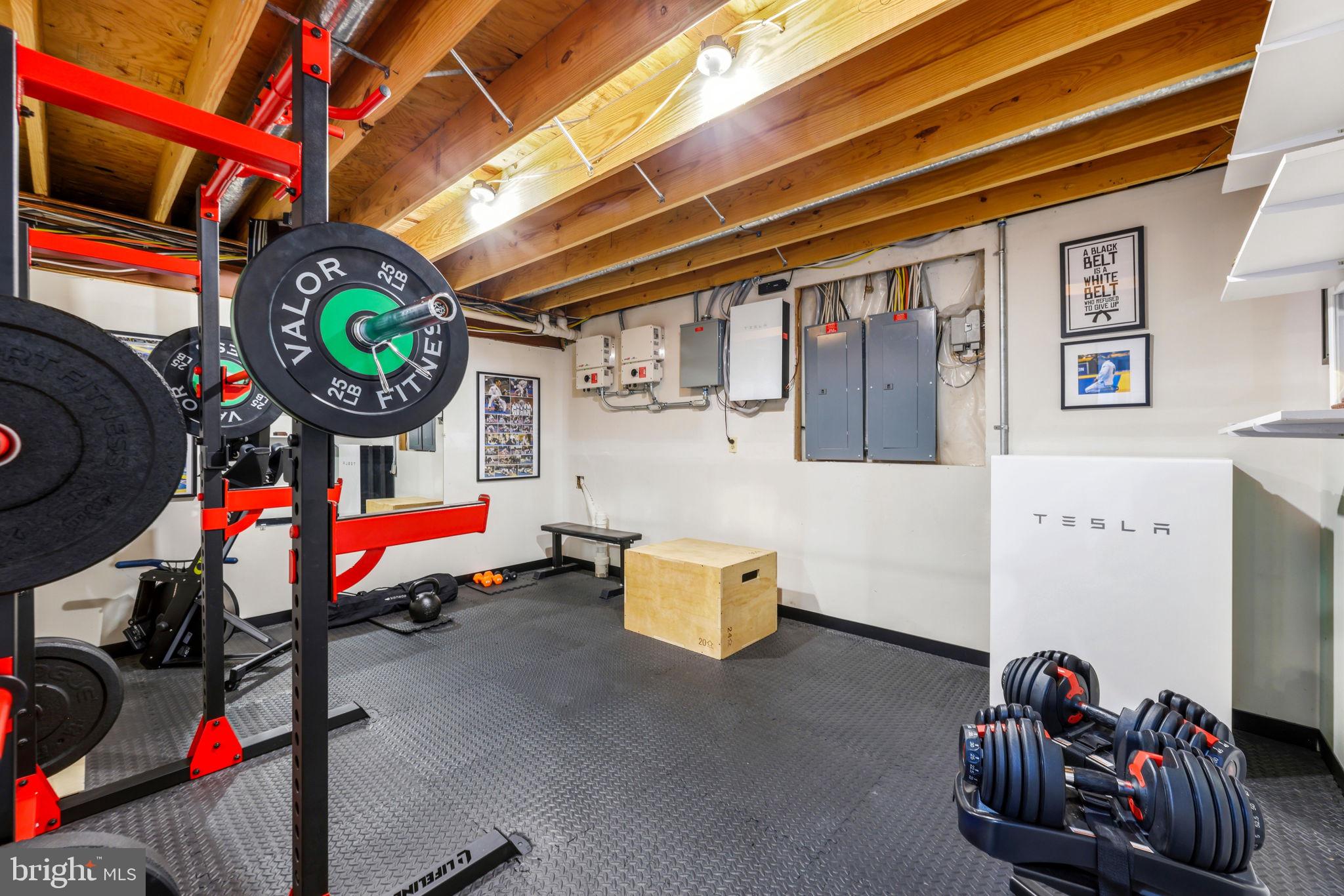 6513 Apple Blossom Ride Columbia, MD 21044 - Photo 84 of 115 a living room with furniture and a fireplace