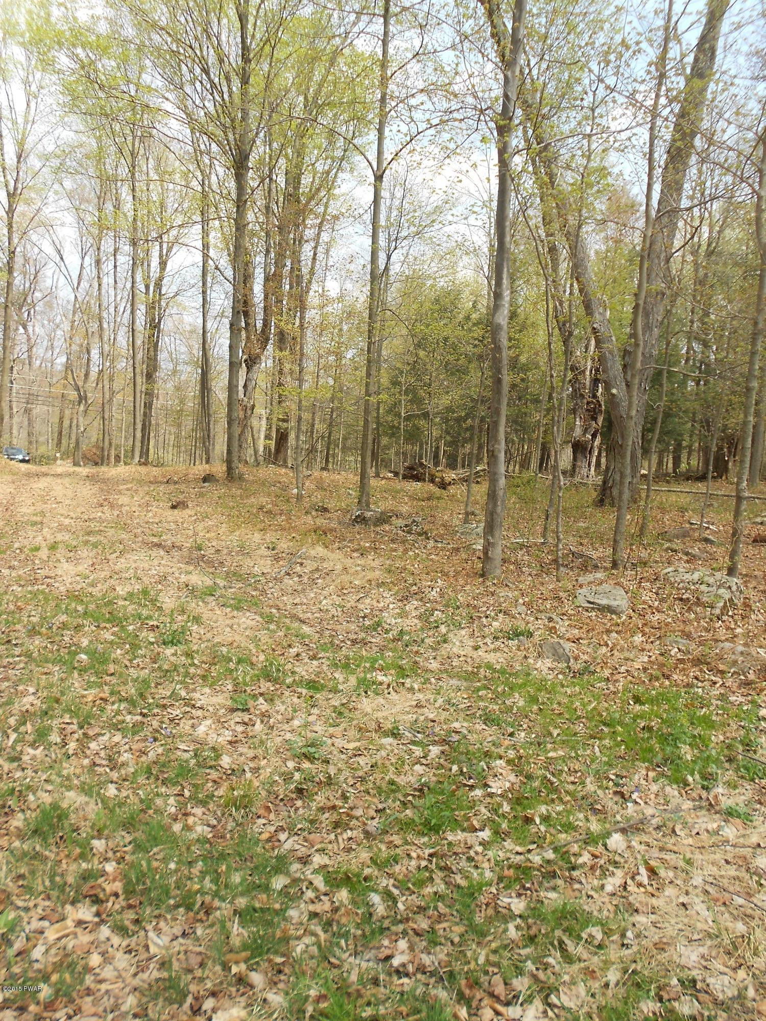 4 Stony Lonesome Road Lake Ariel, PA 18436 - Photo 7 of 12
