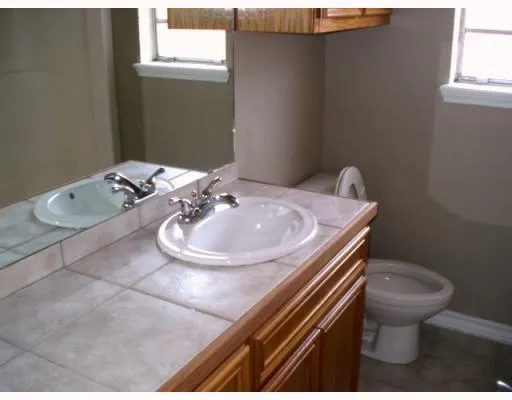 a bathroom with a sink and a toilet