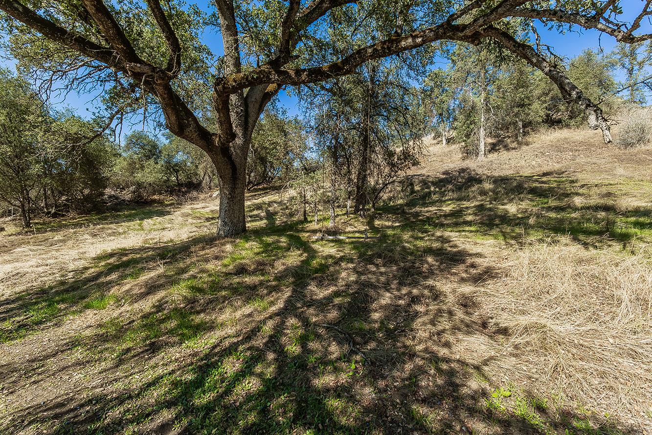 32035 Sycamore Road Tollhouse, CA 93667 - Photo 38 of 58 Gallery Image 38