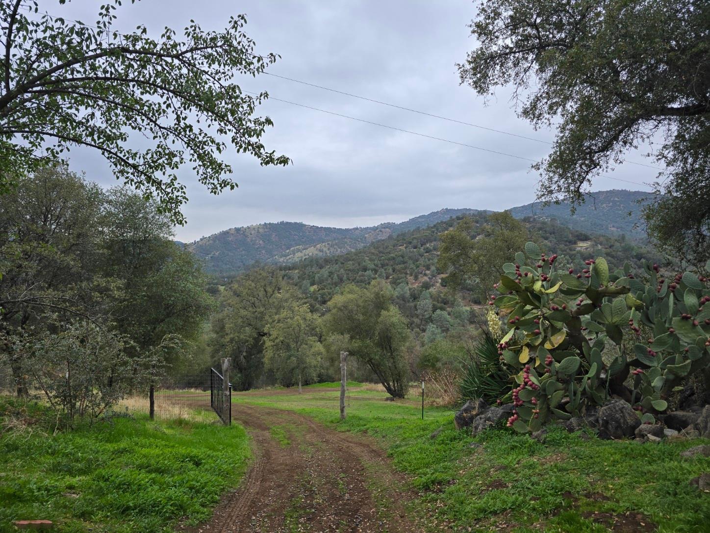 32035 Sycamore Road Tollhouse, CA 93667 - Photo 4 of 58 Gallery Image 4