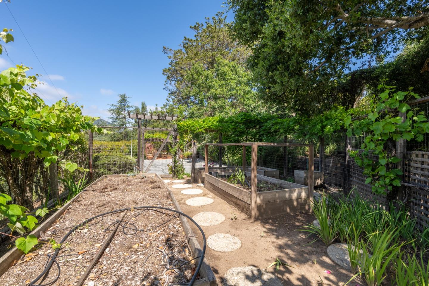 46 Middle Canyon Road Carmel Valley, CA 93924 - Photo 64 of 74 a view of a backyard with plants and trees