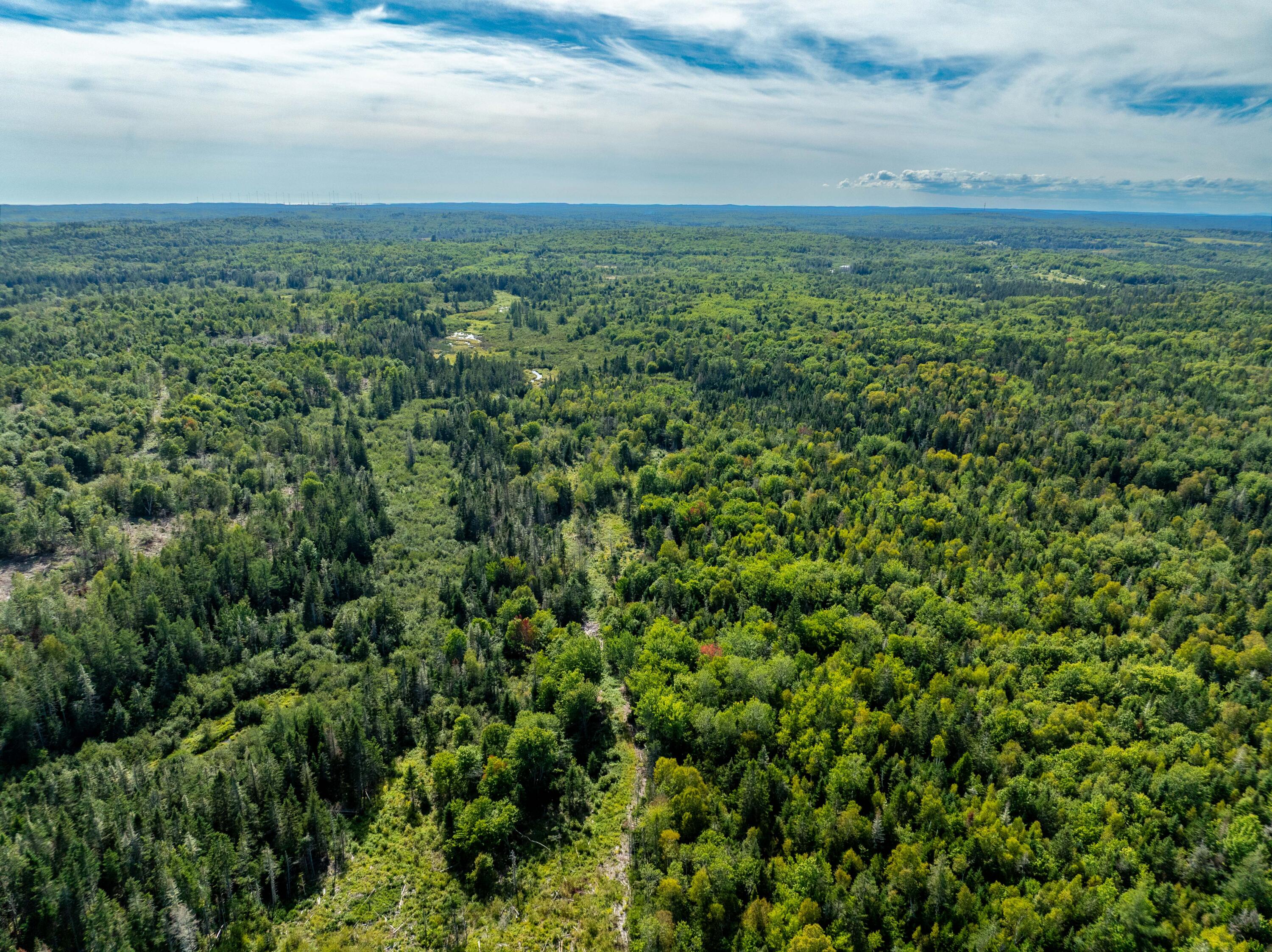 2 Map Lubec, ME 04652 - Photo 58 of 79 530+- acres Trescott Twp Maine (58 of 80