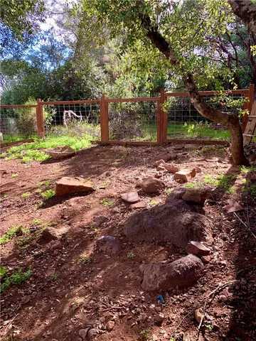 a view of a trees with a yard