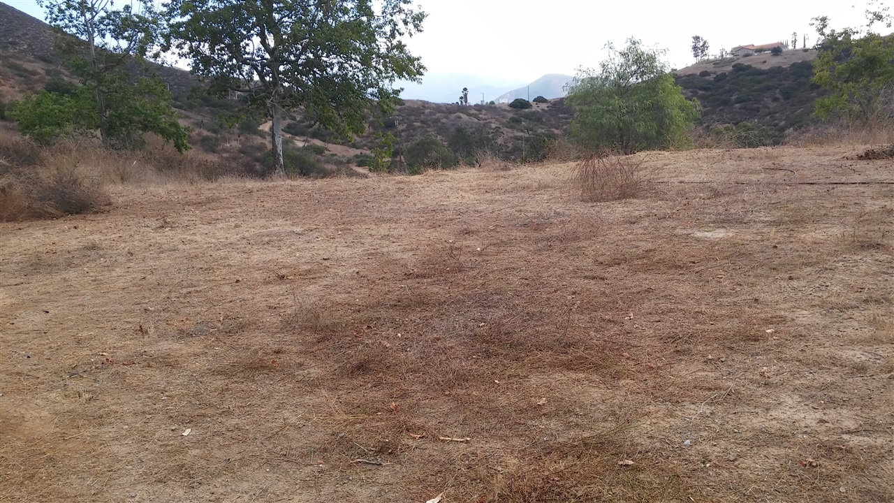 Grace Ranch Rd Grace Ranch Road Dulzura, CA 91917 - Photo 12 of 14