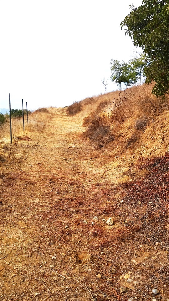 Grace Ranch Rd Grace Ranch Road Dulzura, CA 91917 - Photo 9 of 14