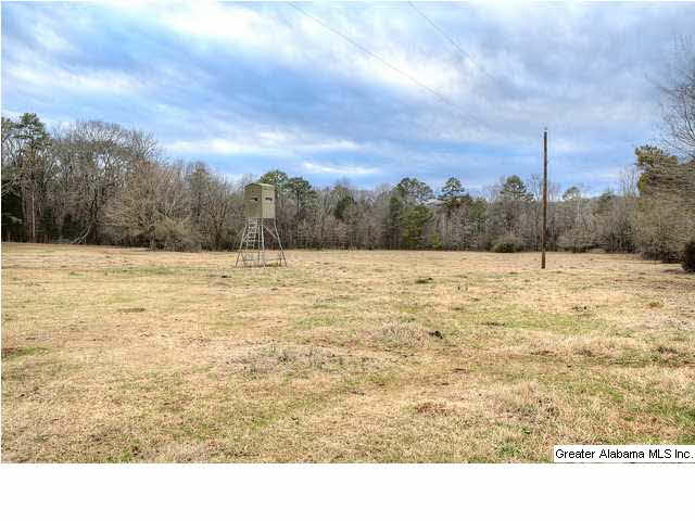 2840 Eastern Valley Road Leeds, AL 35094 - Photo 9 of 11