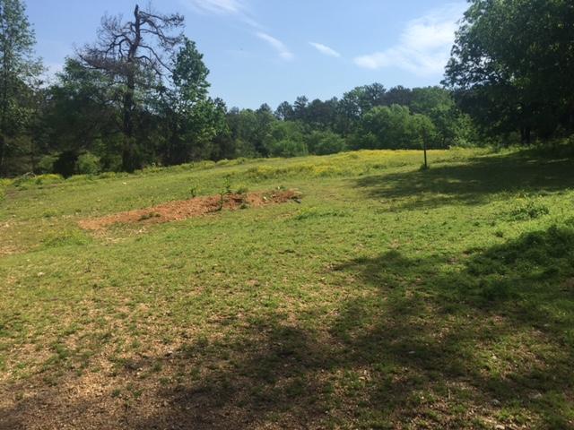 3055 Burning Bush Road Ringgold, GA 30736 - Photo 4 of 7 Pasture