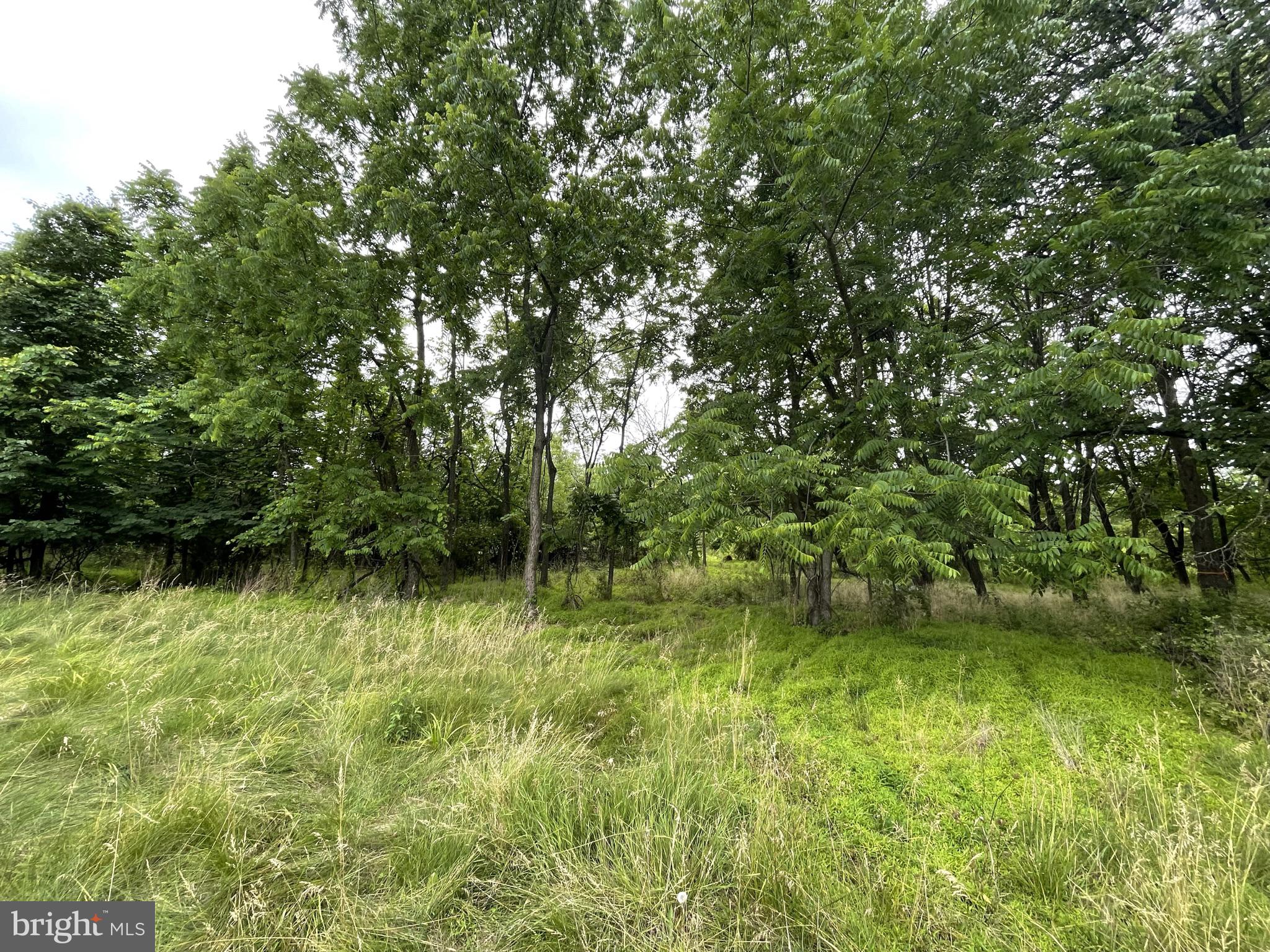 282 Buchert Road Gilbertsville, PA 19525 - Photo 6 of 20 Gallery Image 6