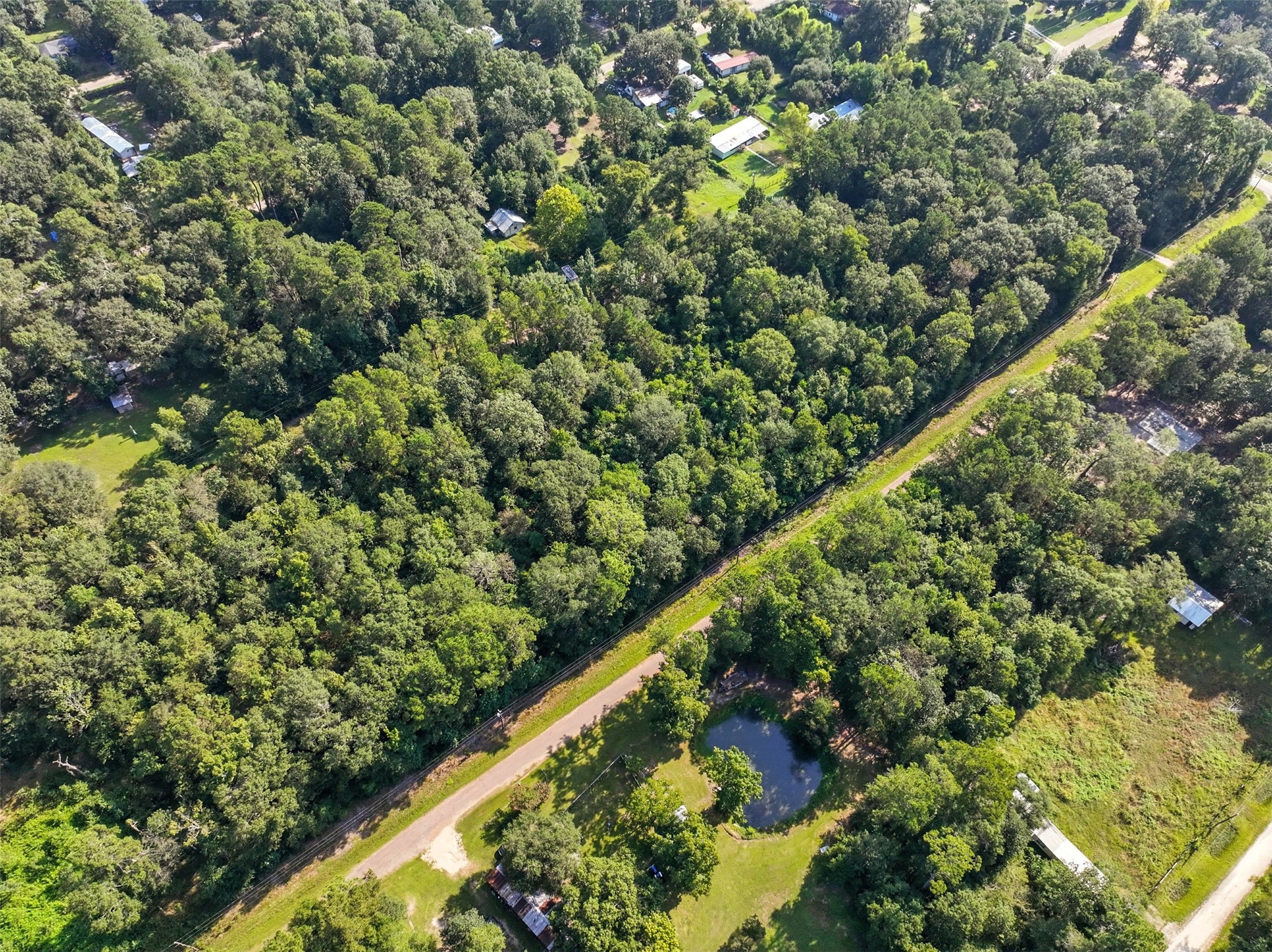 0 Dora Lane Shepherd, TX 77371 - Photo 3 of 5 a view of a garden with a plant