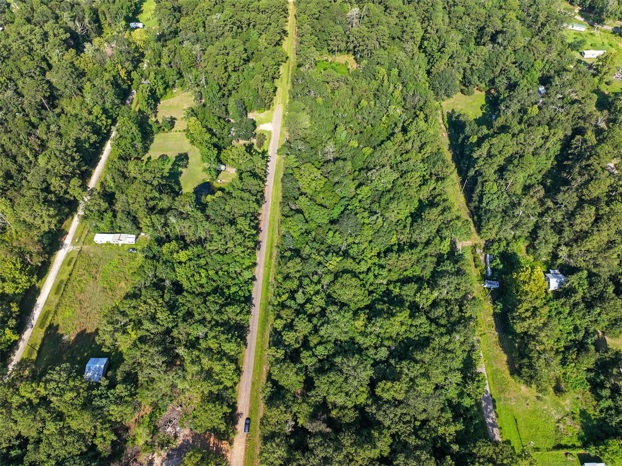 0 Dora Lane Shepherd, TX 77371 - Photo 4 of 5 a view of a garden