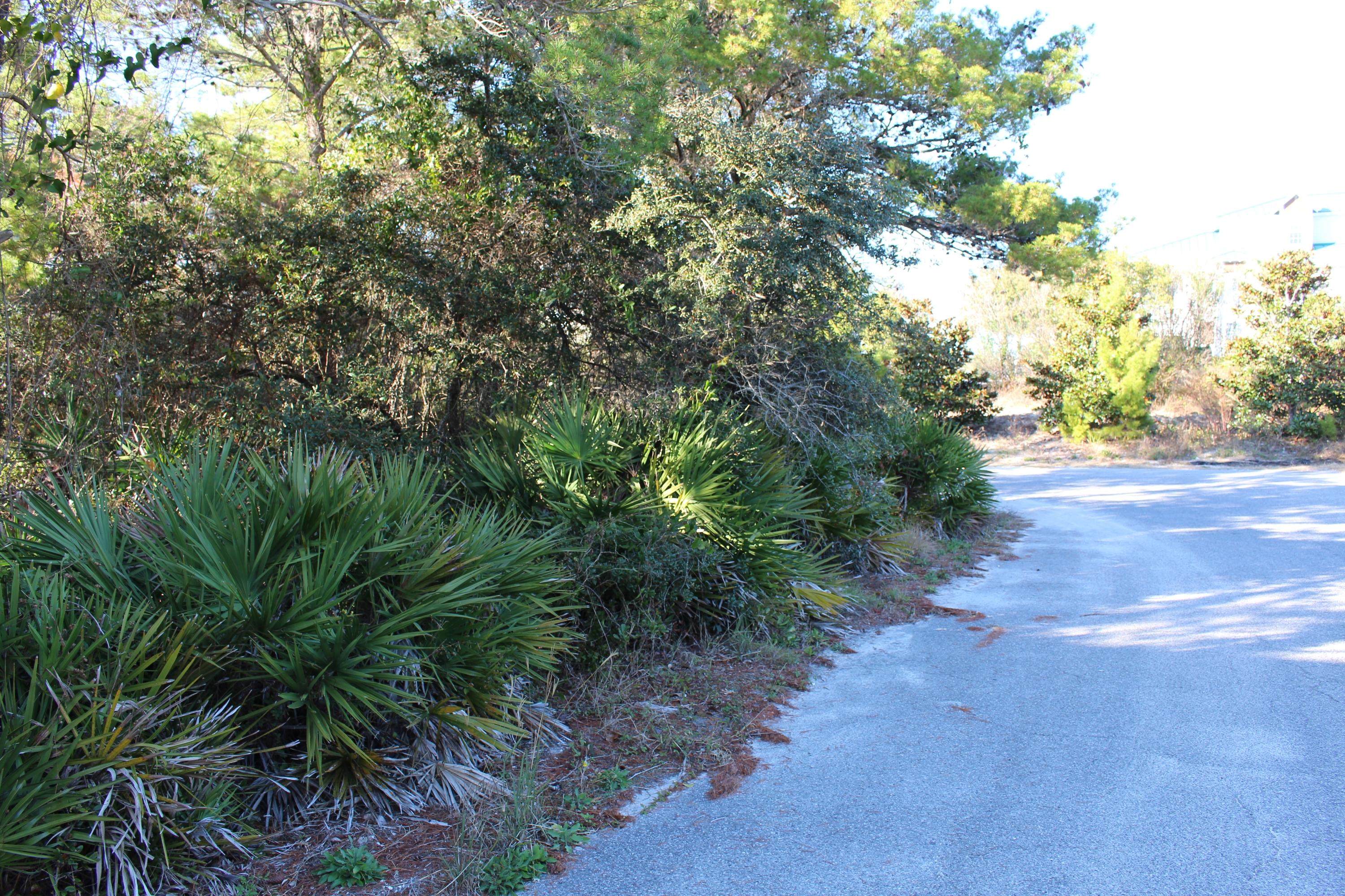 Lot 12 Triggerfish Street Santa Rosa Beach, FL 32459 - Photo 4 of 8 IMG_1412