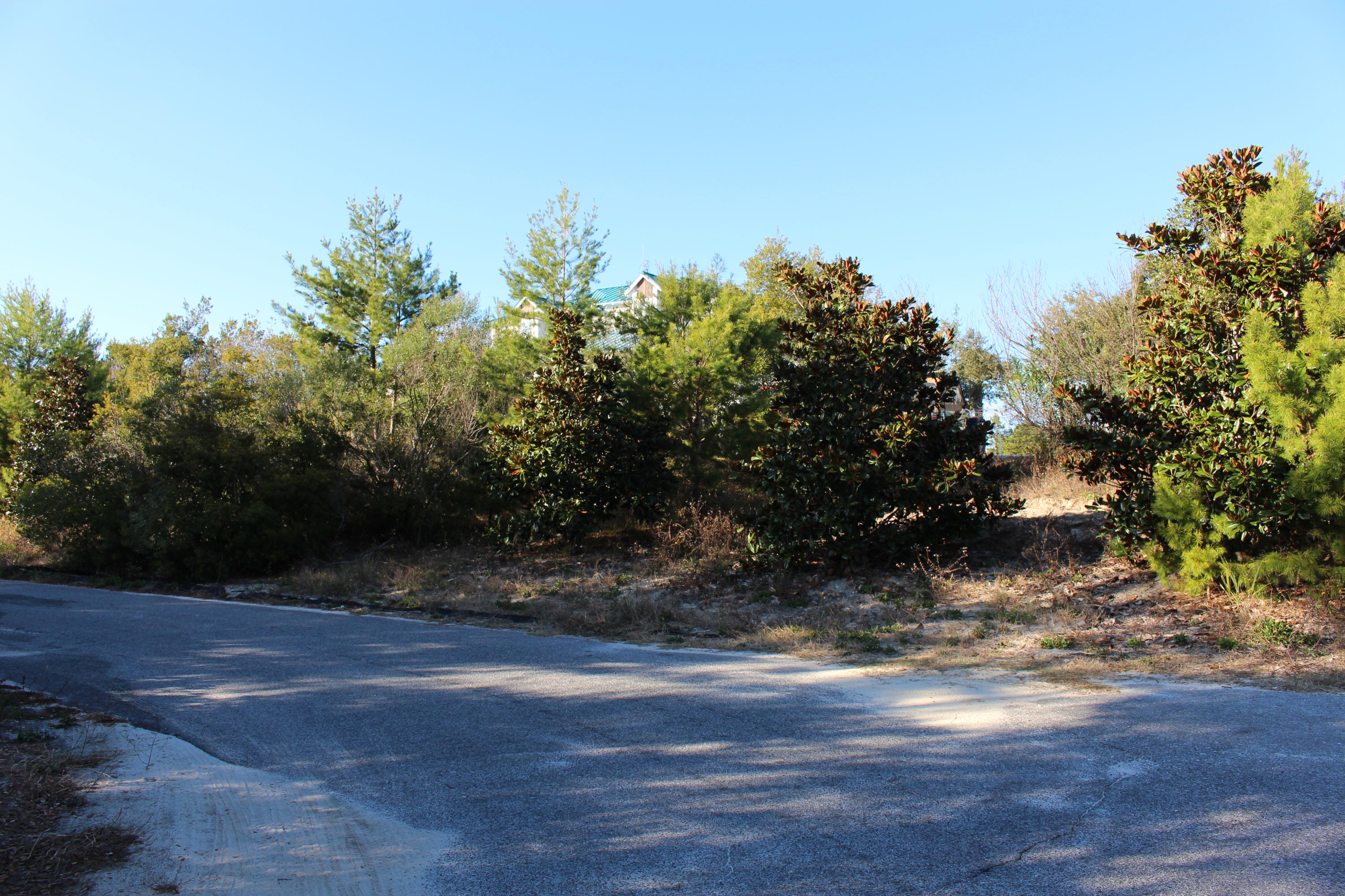 Lot 12 Triggerfish Street Santa Rosa Beach, FL 32459 - Photo 6 of 8 IMG_1416