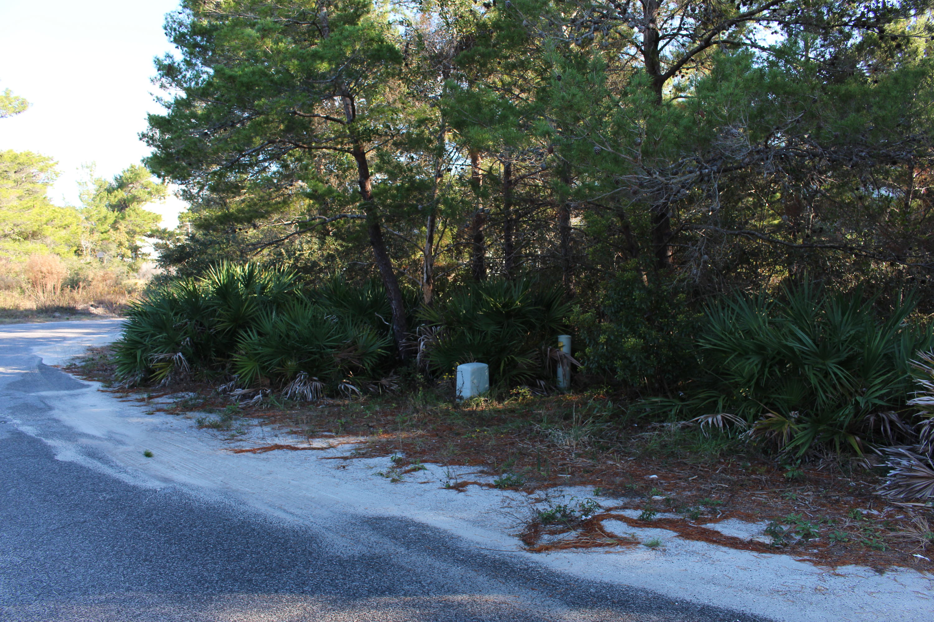 Lot 12 Triggerfish Street Santa Rosa Beach, FL 32459 - Photo 7 of 8 IMG_1417