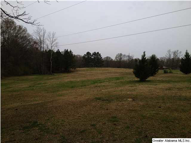 1720 Ross Lake Road Wellington, AL 36279 - Photo 6 of 32
