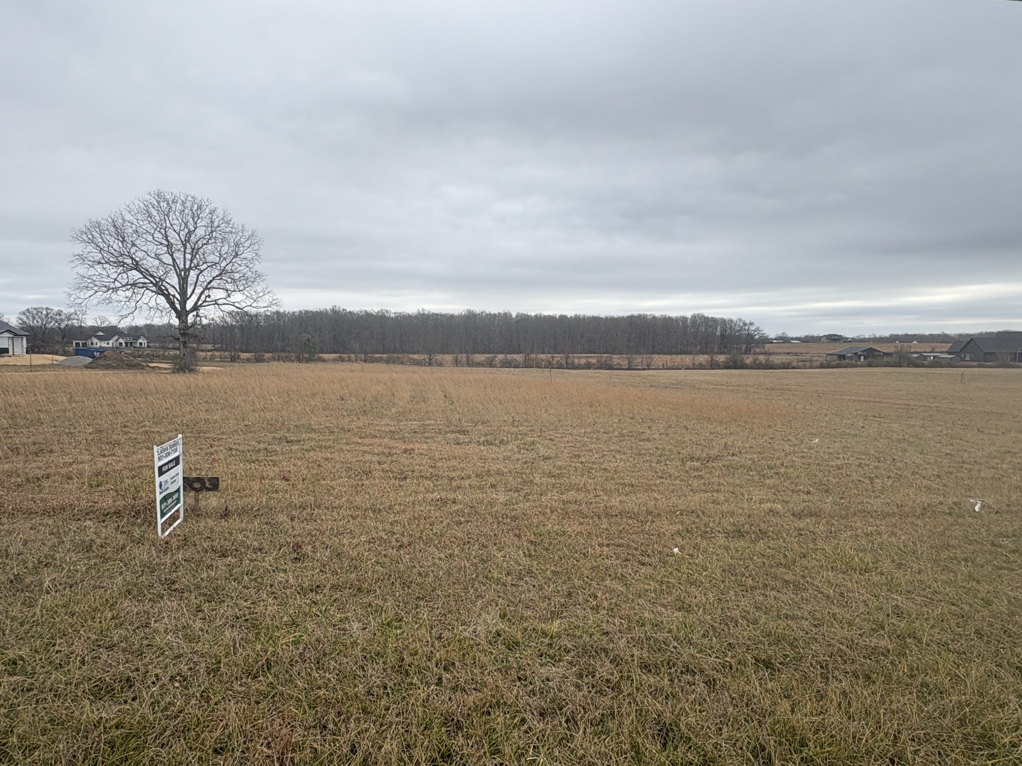 903 Buffalo Road Hohenwald, TN 38462 - Photo 2 of 3