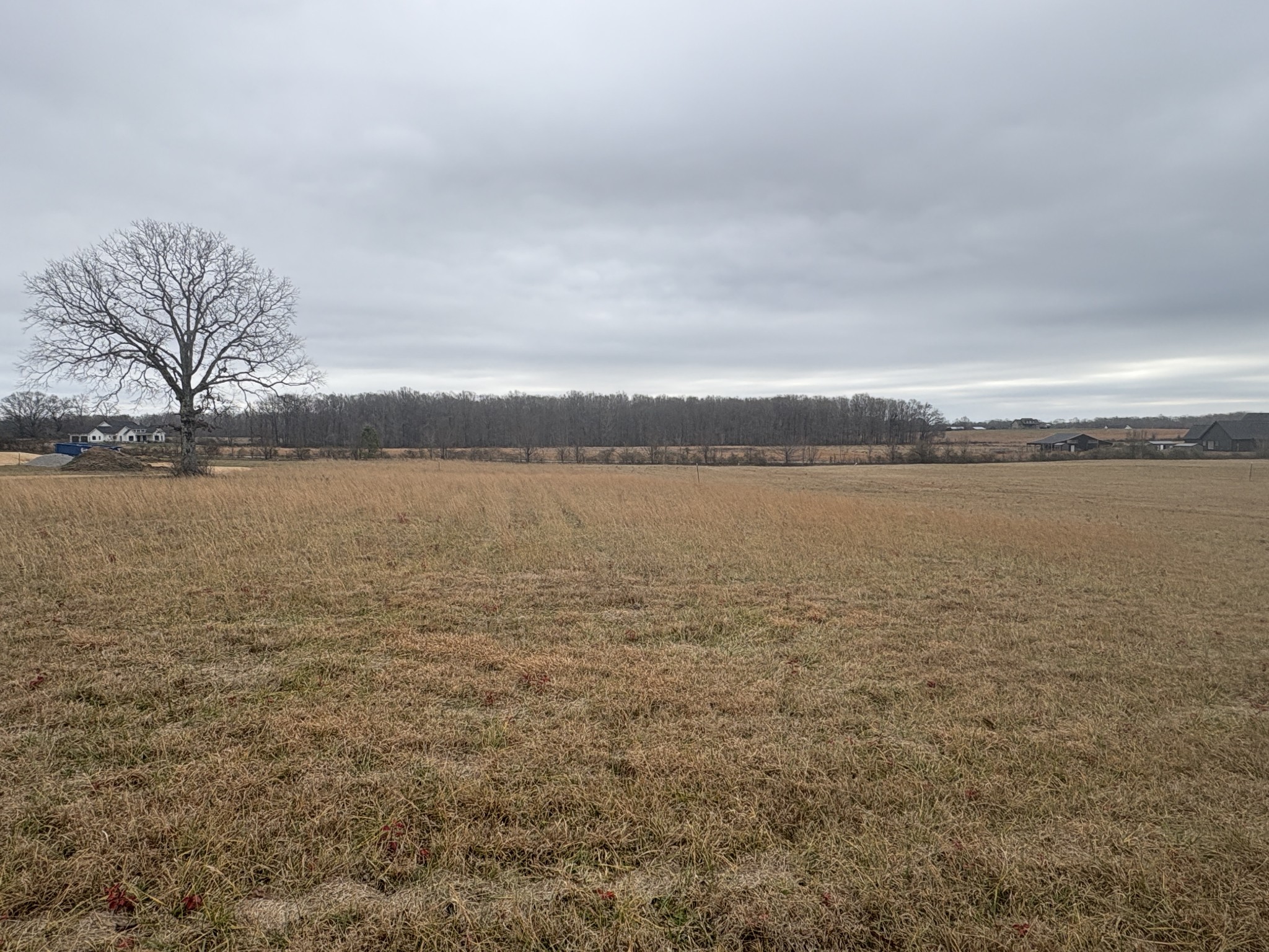 903 Buffalo Road Hohenwald, TN 38462 - Photo 3 of 3