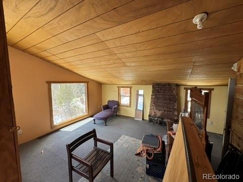 13 Modoc Street Ward, CO 80481 - Photo 16 of 19
