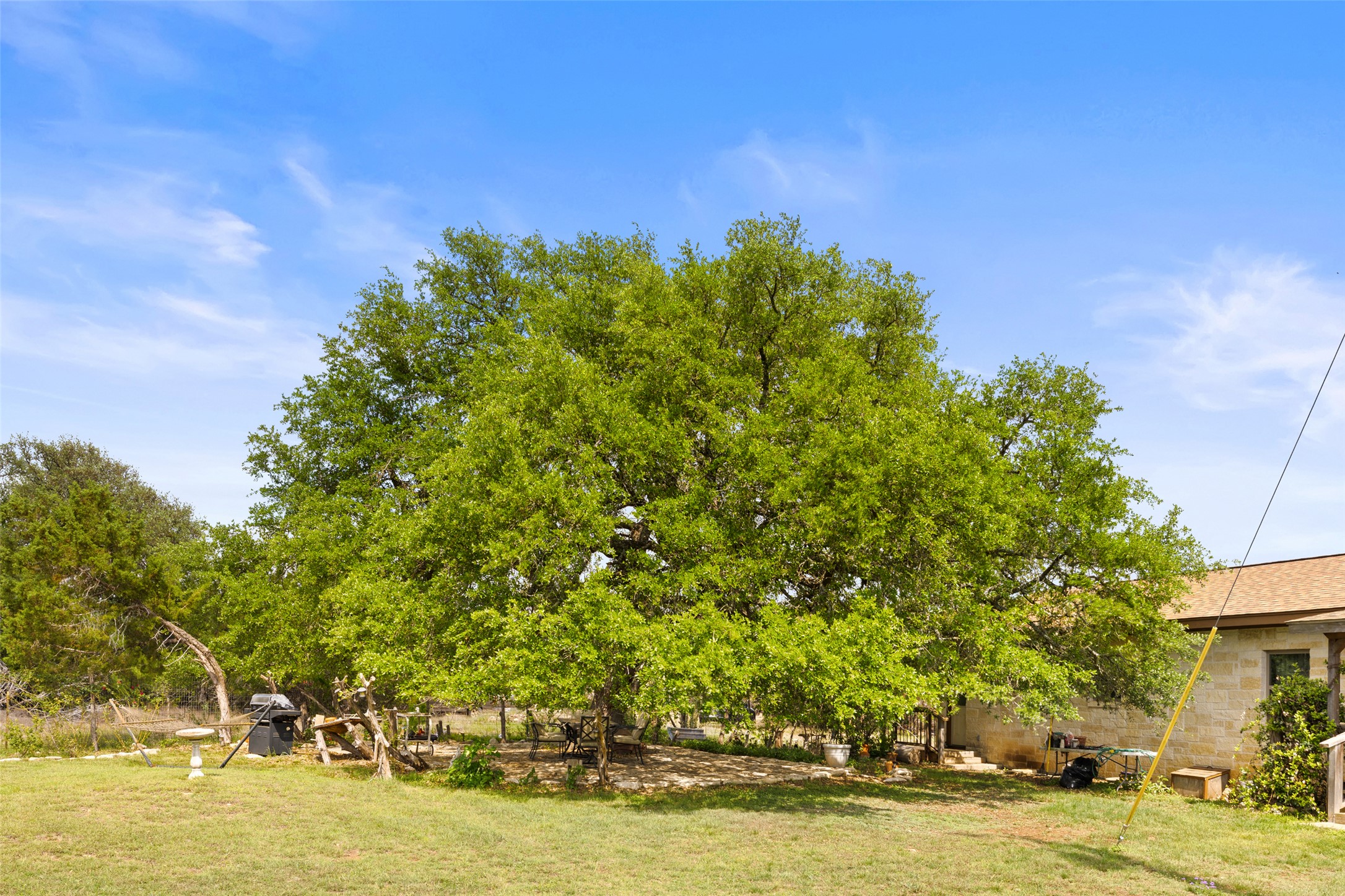 2966 Rm 165 Dripping Springs Dripping Springs, TX 78620 - Photo 14 of 23 Expansive backyard featuring a mature, broad-canopied tree providing ample shade