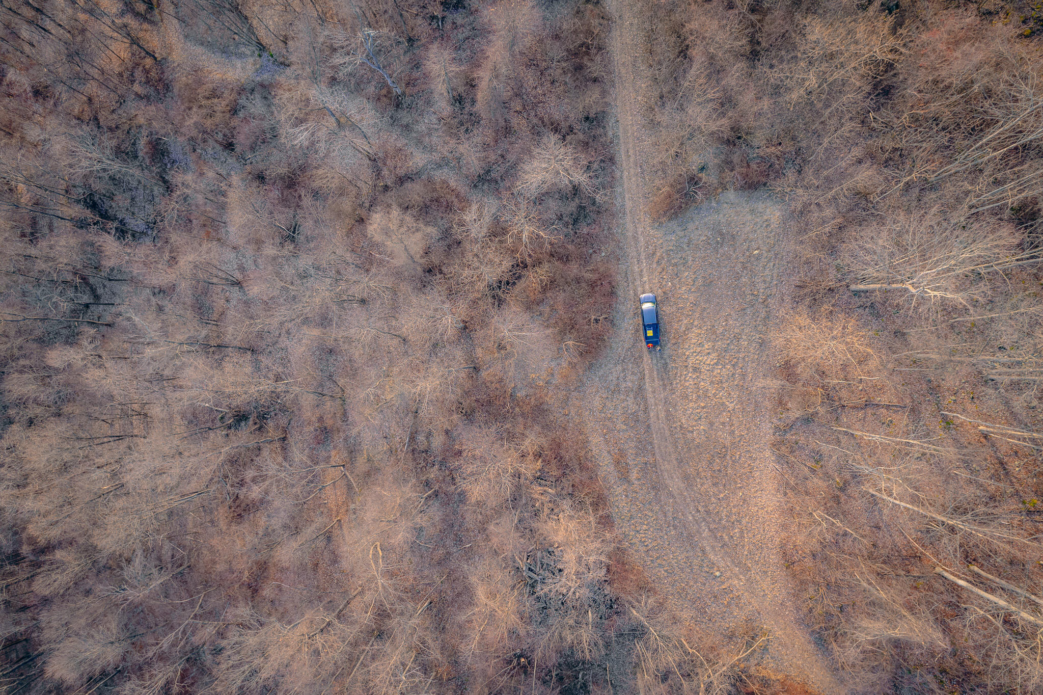 0 Airpoint Road Bent Mountain, VA 24059 - Photo 11 of 18