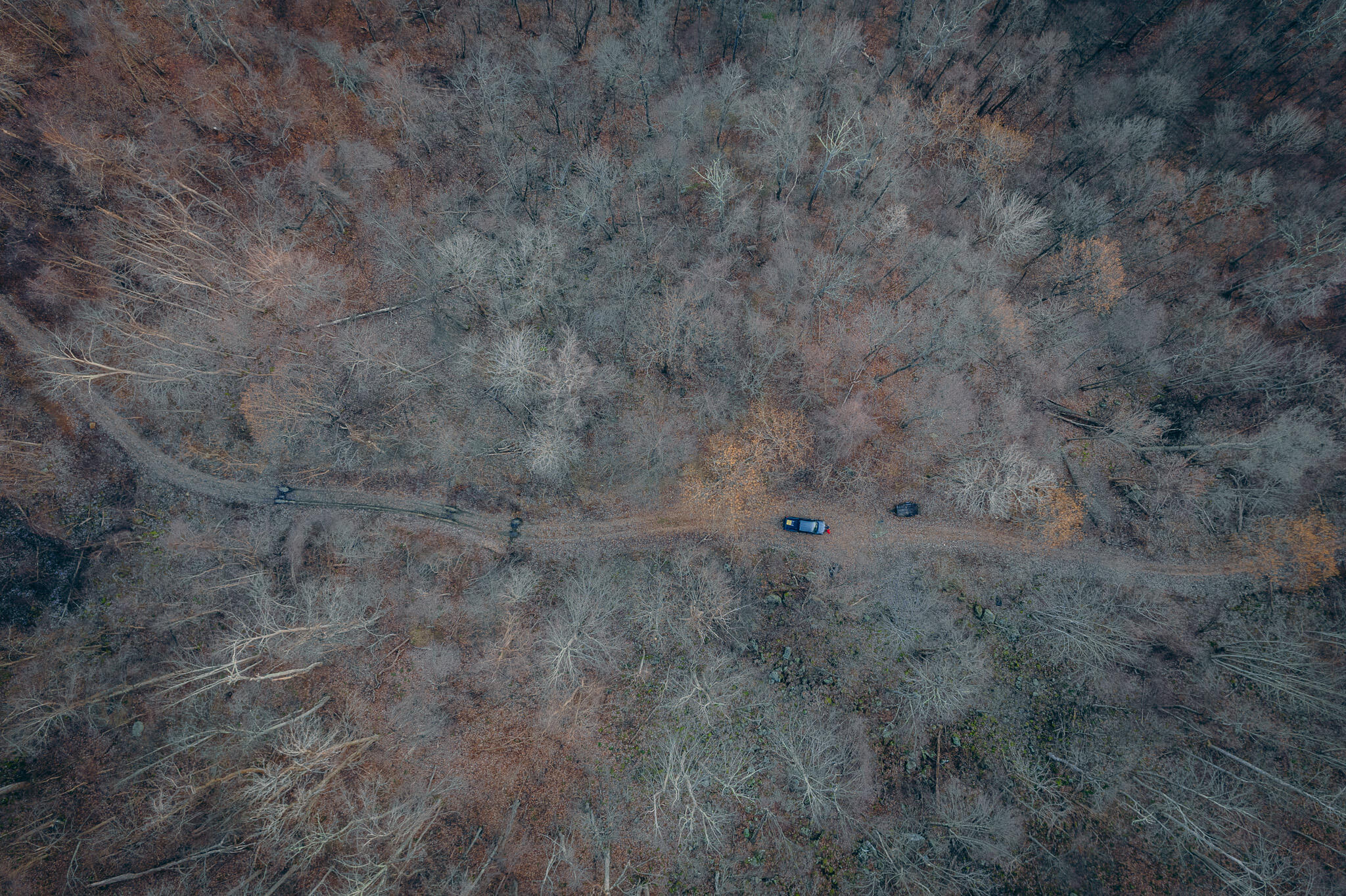 0 Airpoint Road Bent Mountain, VA 24059 - Photo 13 of 18 a view of a dry yard