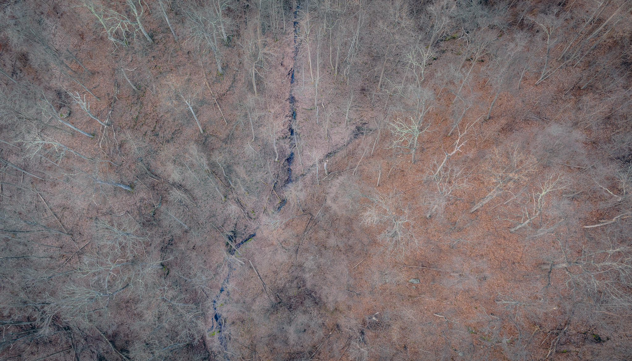0 Airpoint Road Bent Mountain, VA 24059 - Photo 14 of 18 a view of a dry yard