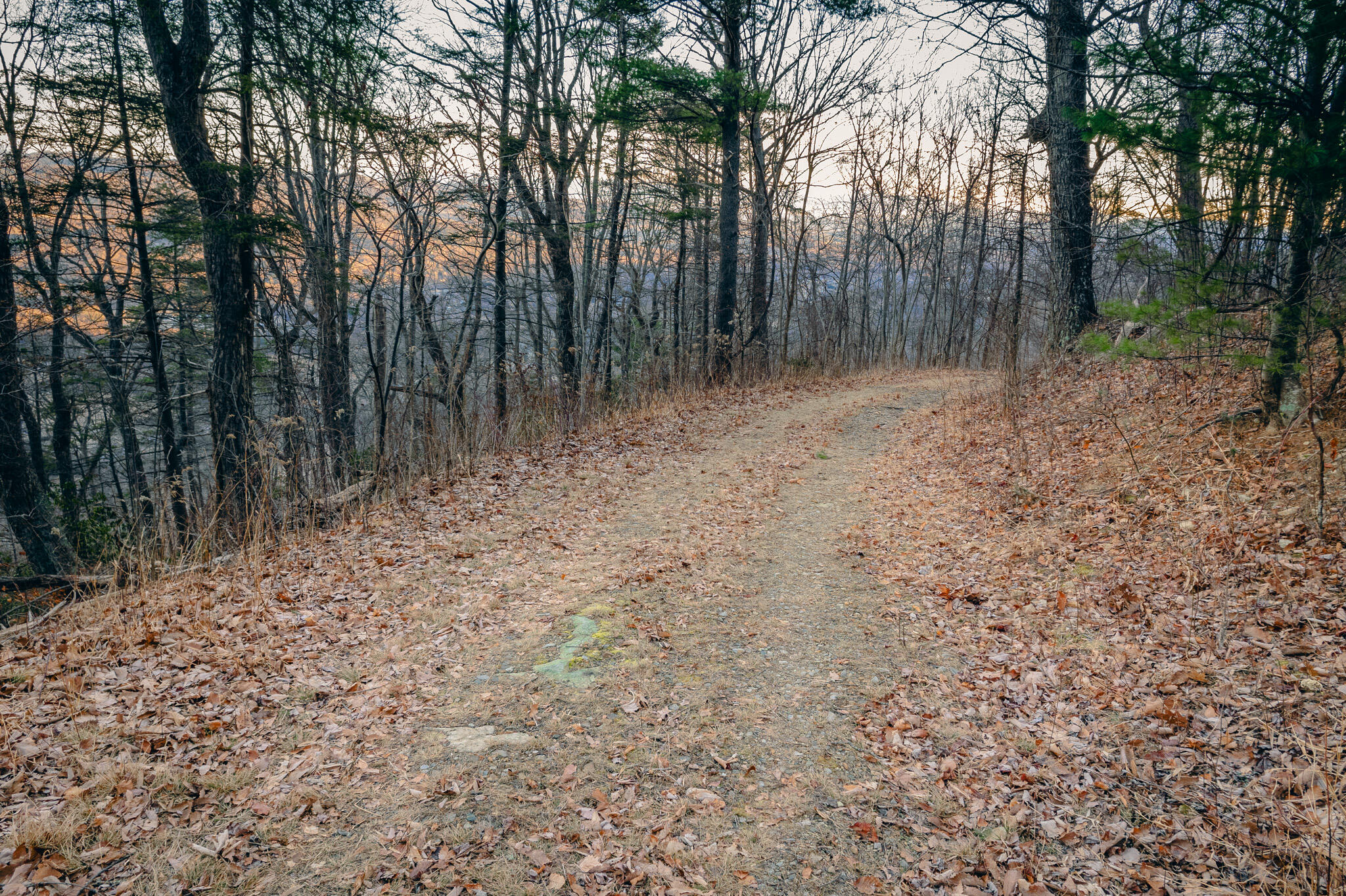 0 Airpoint Road Bent Mountain, VA 24059 - Photo 15 of 18 a view of backyard with trees