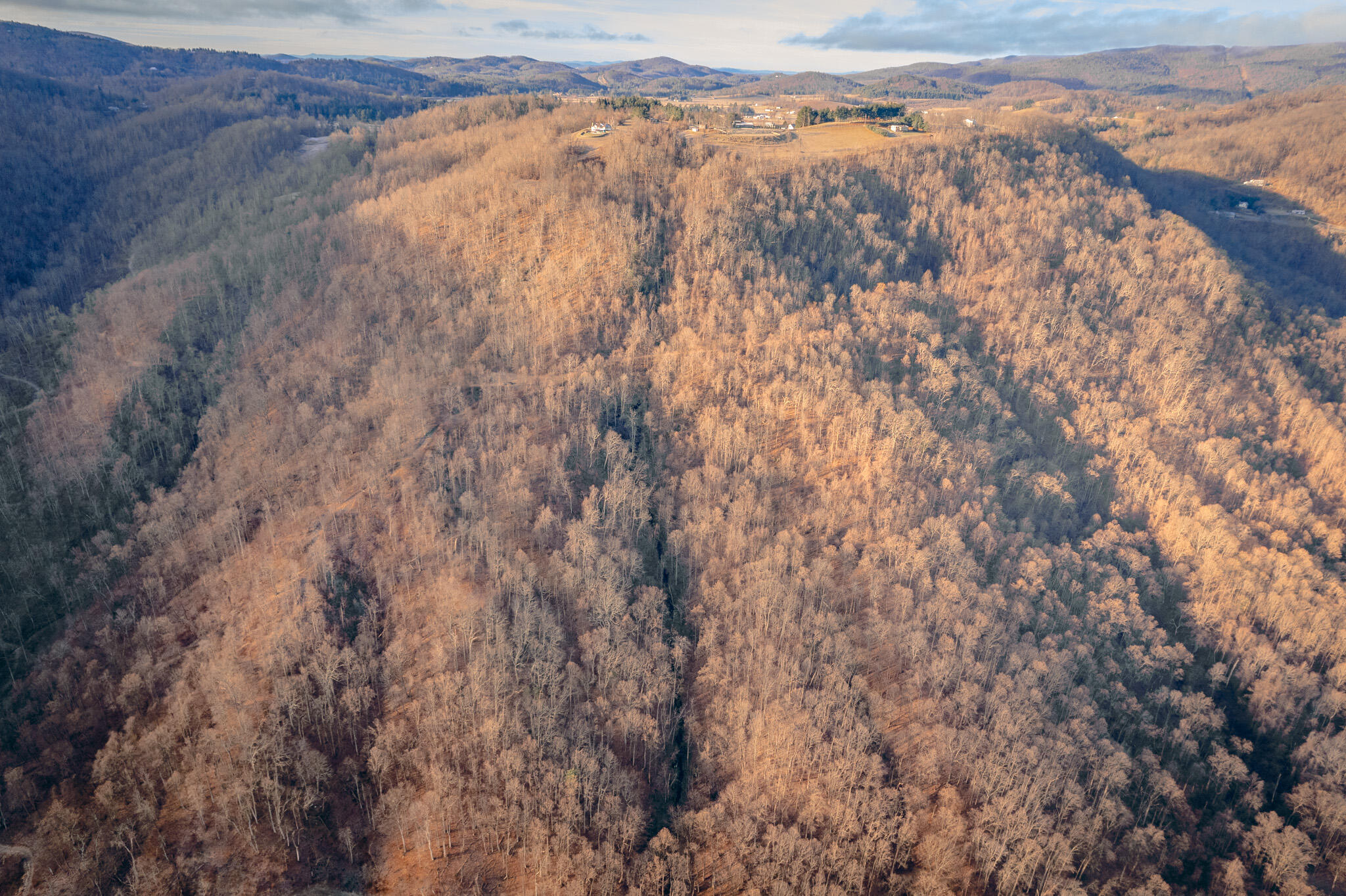 0 Airpoint Road Bent Mountain, VA 24059 - Photo 2 of 18 a view of forest