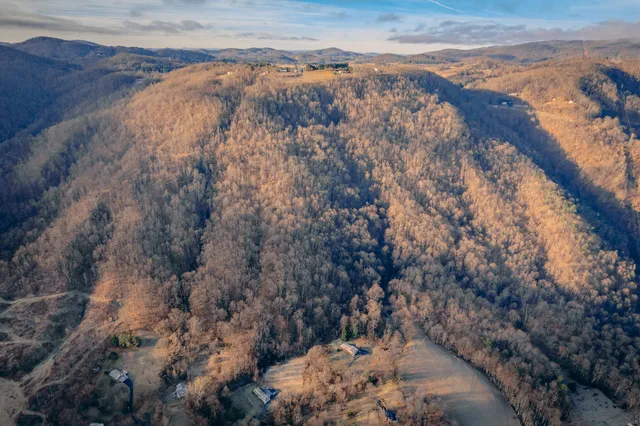 a view of a yard with wooden fence