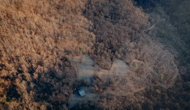 a view of a dry yard