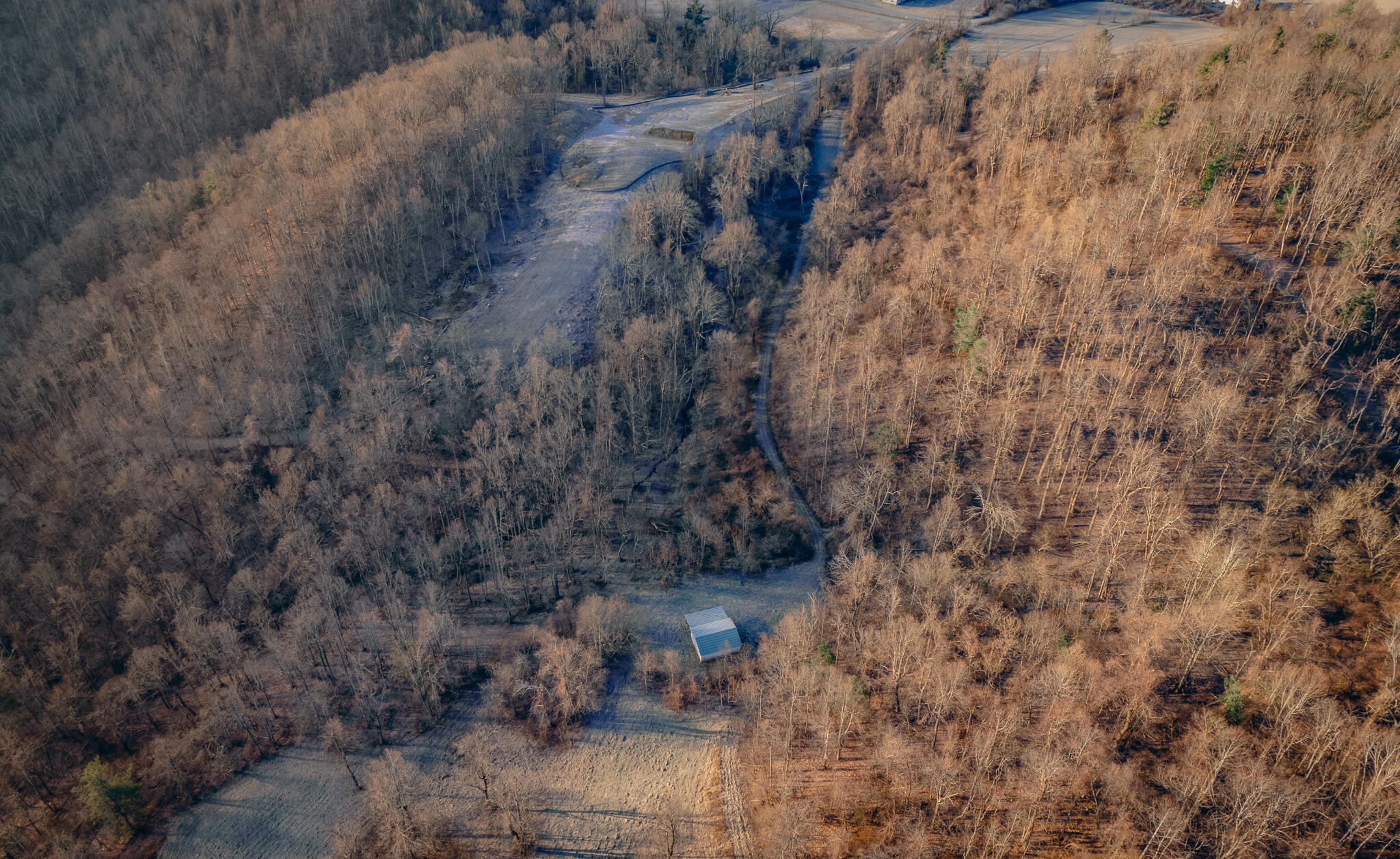 0 Airpoint Road Bent Mountain, VA 24059 - Photo 9 of 18 a view of a dry yard with trees
