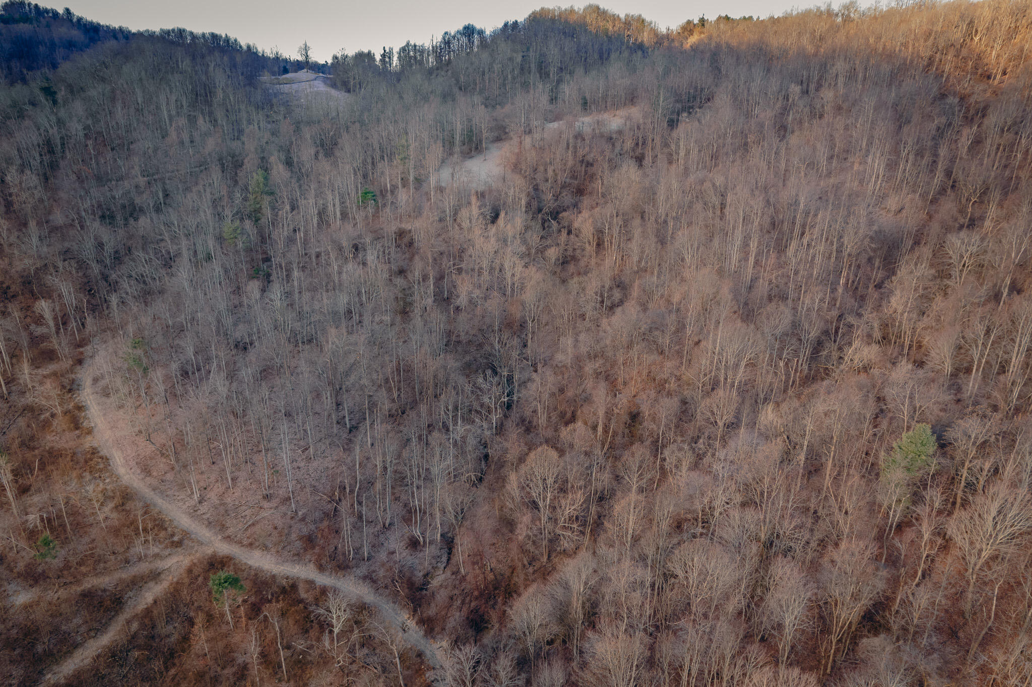 0 Airpoint Road Bent Mountain, VA 24059 - Photo 10 of 18