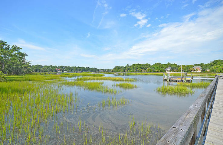 1770 Bergenfield Road Mount Pleasant, SC 29466 - Photo 33 of 43 Toomer Creek