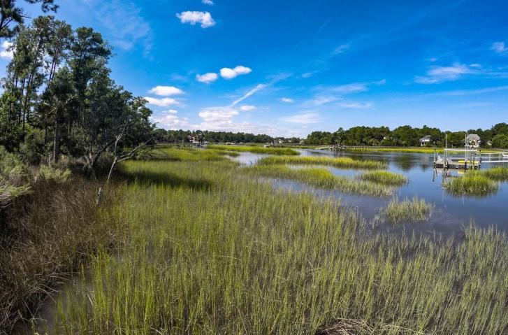 1770 Bergenfield Road Mount Pleasant, SC 29466 - Photo 36 of 43 Toomer Creek