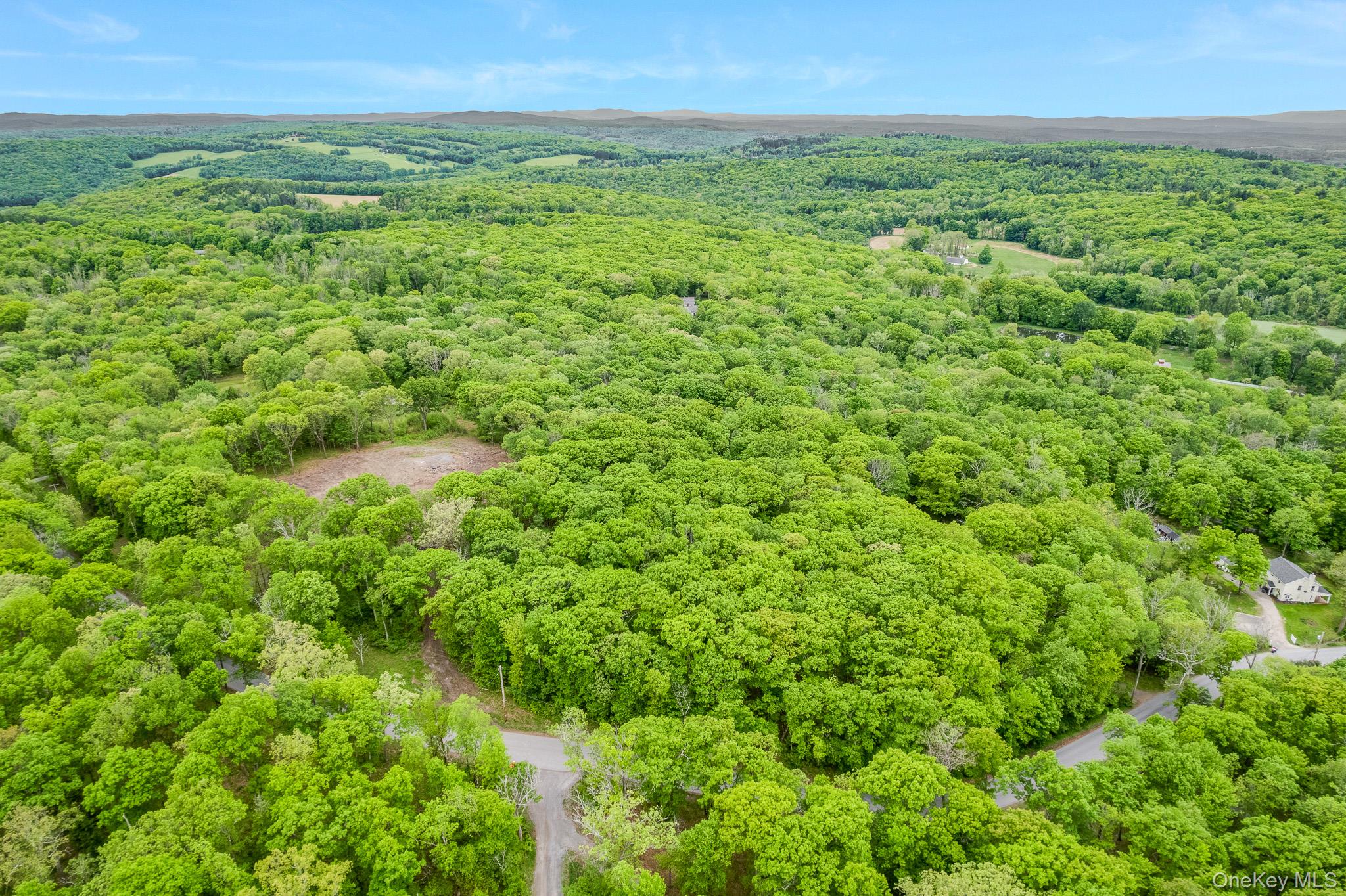 101 North Tower Hill Road Millbrook, NY 12545 - Photo 16 of 20