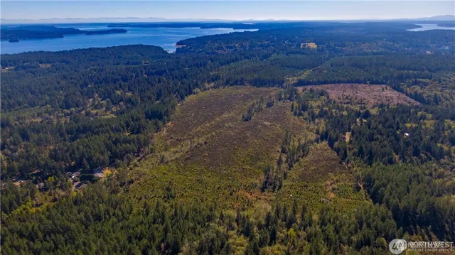a view of city and mountain