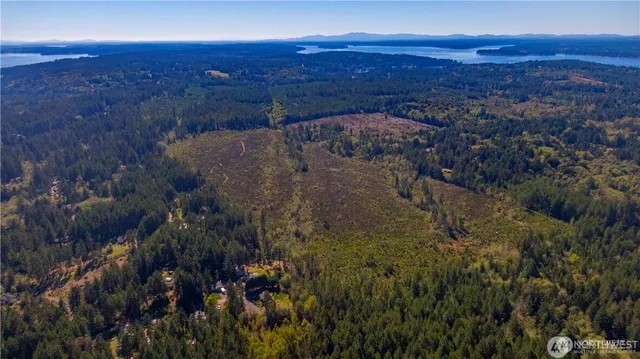 a view of a yard with an outdoor space