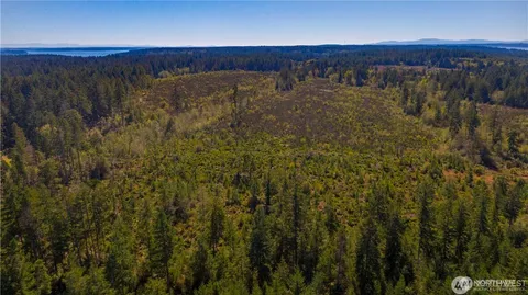 a backyard of a house with a trees